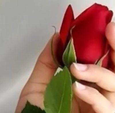 انسانه واثقة من الله لا اثق بسواه سبحان الله