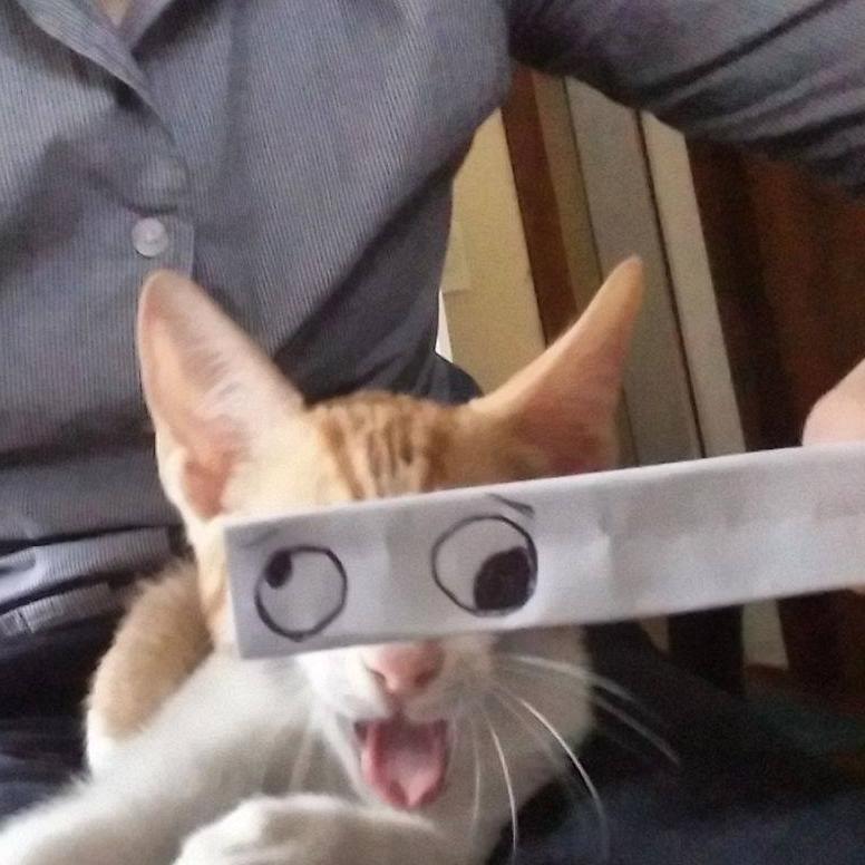 Parker1655's profile picture. Life is what happens while you are busy making other plans.
 ........ John Lennon