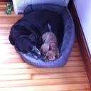 Paula Jacoby - @pjbeachcc - Twitter