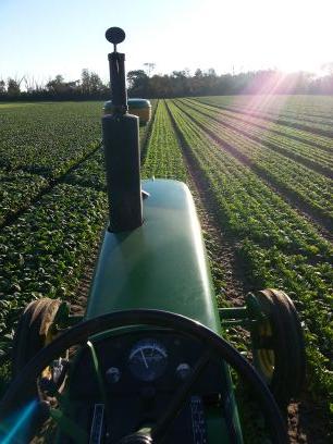 South Jersey Grain, Hay, and Vegetable farmer. AGR Beta Psi alumni