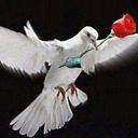 cindy trejo - @cindytrules - Twitter