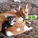 Patricia Ann Tabor - @tabor1952 - Twitter