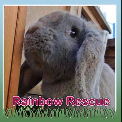 Rainbow Rescue is a self funded, no kill, animal rescue centre. We take in unwanted and neglected animals ❤️