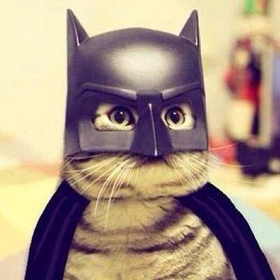 SunshineDei's profile picture. 