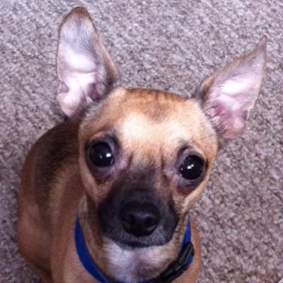 tanyablack14's profile picture. 