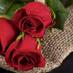 بسمة الم (@rainbow1420) Twitter profile photo بسمة الم (@rainbow1420) Twitter profile photo