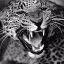 Violeta Navarro - @VioletaJaqui - Twitter