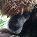 Katie Mattern - @rkmattern - Twitter