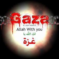 GazaCry's profile picture. My name is Mohammed Al-Ashqer, I'm 21 years old.I live in #Gaza                        يا غزة انتي عنوان الصمود سقيتي المر جند اليهود..