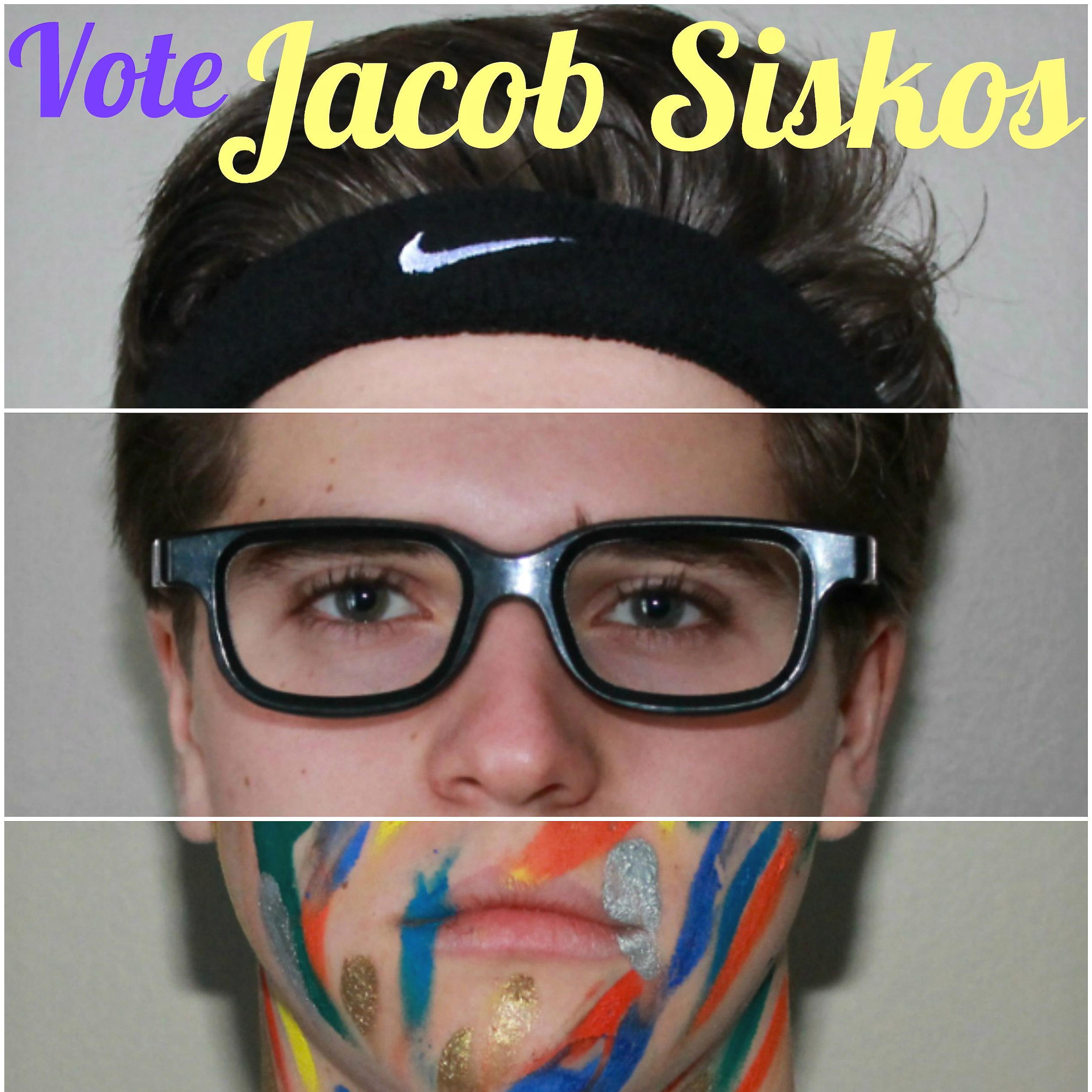 If you're looking for a great leader, Vote Jacob for VP for a new era of variety and experience, because those are essential in a leader.