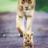 pachgroup's profile image