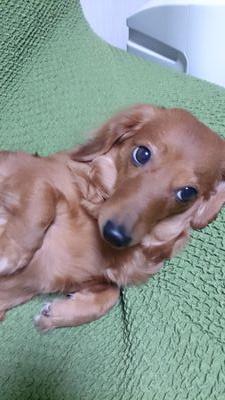 知ってる人は気軽にフォローよろしくお願いします！