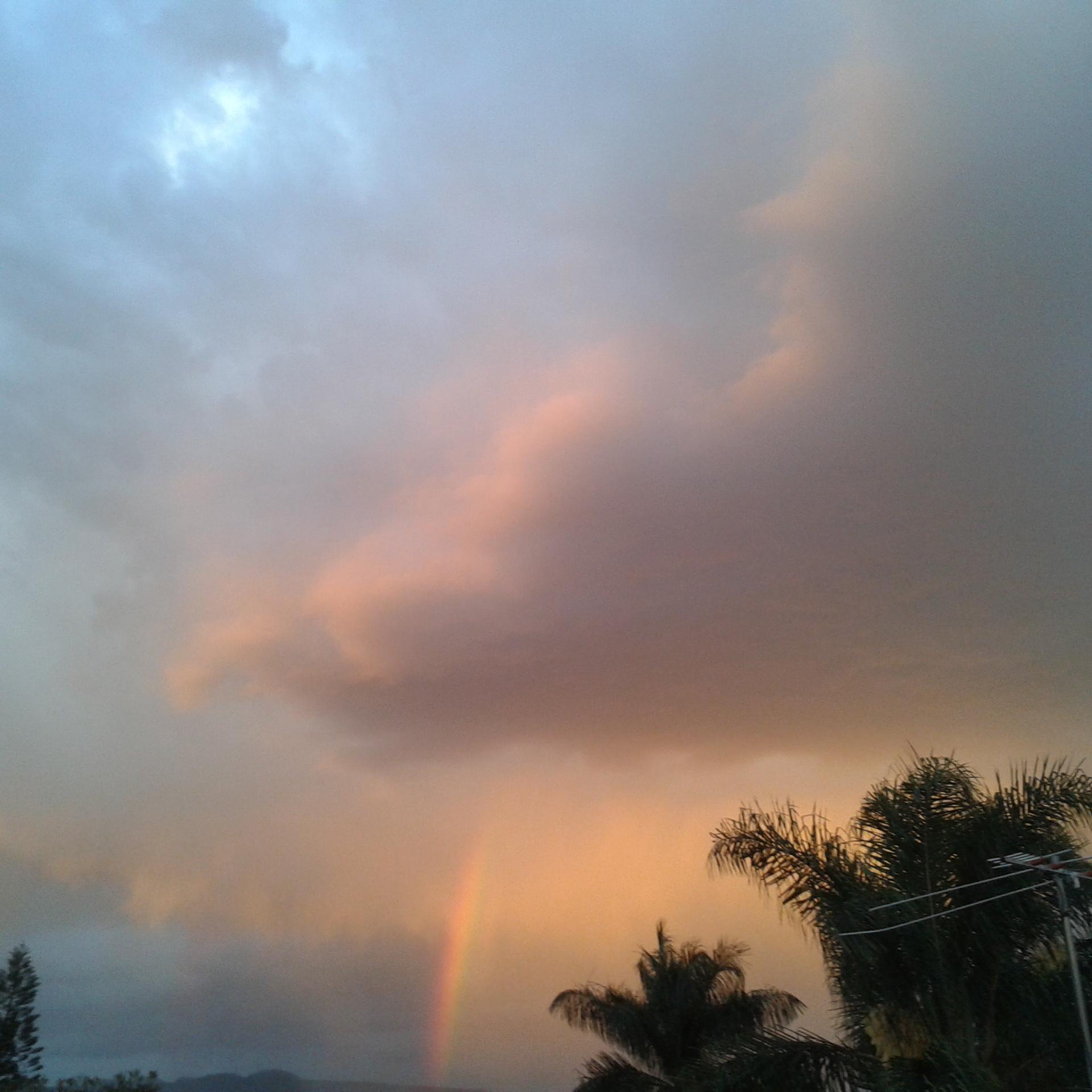 As a Christian Science Practitioner, I work daily to the Truth which comes from divine Love (God) and heals us.