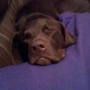 Hannah Low - @ellilouve - Twitter