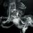 Stonersupromo's profile image