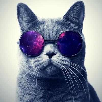 Here tweets just a regular asshole of his thoughts my kindness died along time ago....with my sanity