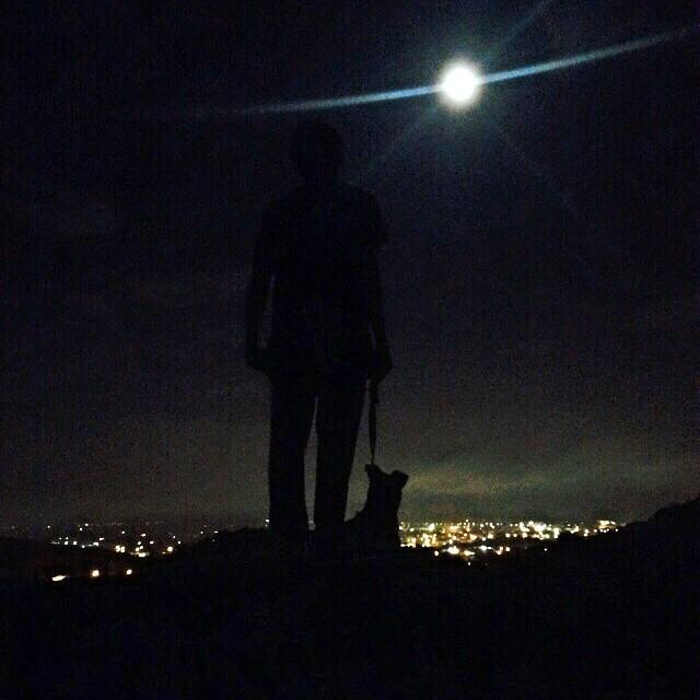 I'm not the boy you dreamed.