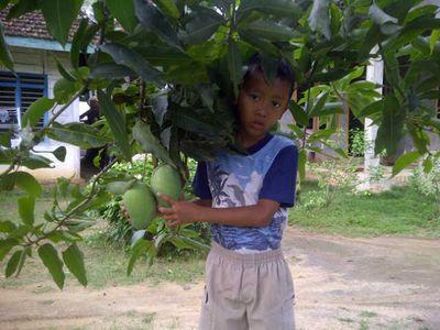 @jokowiyono