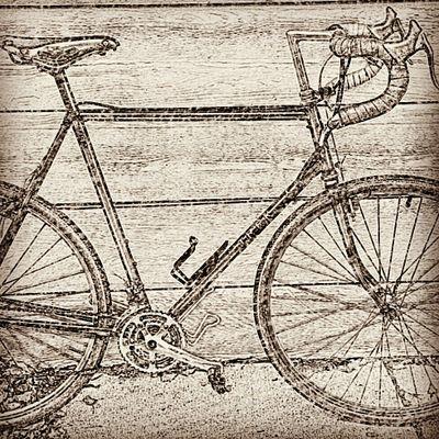 The_Deluride's profile picture. Delfest to Telluride Bluegrass Fest on bicycles for the Chase Your Dreams Foundation