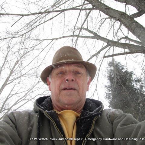 lesvanalstine2's profile picture. 