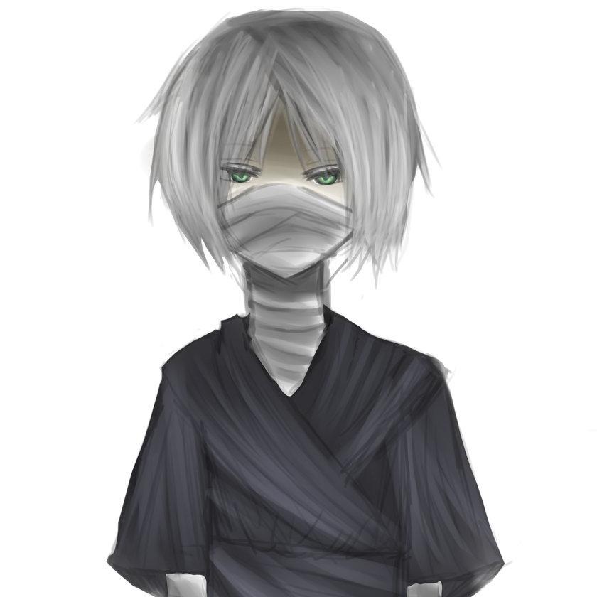 (RP OC HxH) blind and mute, ninja, aspiring hunter, sworn to kill my parent's assassin(s) [im more familiar with hxh 1999 than 2011]