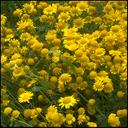 Cynthia Beach - @Cbeach45 - Twitter