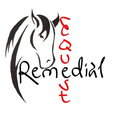 Equine Massage Therapy
~Every Athlete, Every Discipline~