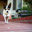 sylvia sheehan - @nothingleftout - Twitter