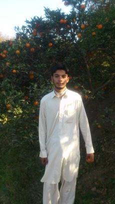 FazalFarhan4's profile picture. 