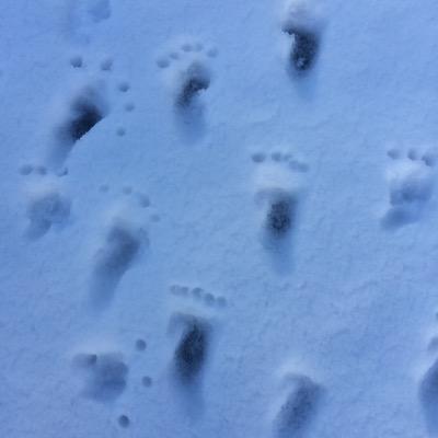 DrEJQjODcazppfi's profile picture. 久々の沼。成人しています。