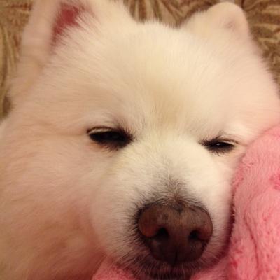 JiachunLi's profile picture. 