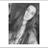 haleyncollins33's profile image