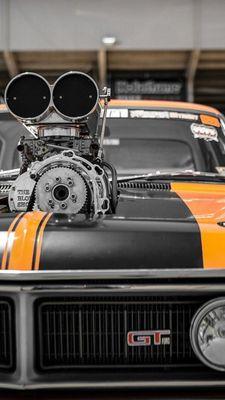 My life revolves around race cars