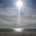 suzanne whelan - @nonceleb - Twitter