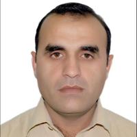 Rokhan Momand (@rmomand) 's Twitter Profile