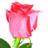 STRICMammogram's profile image