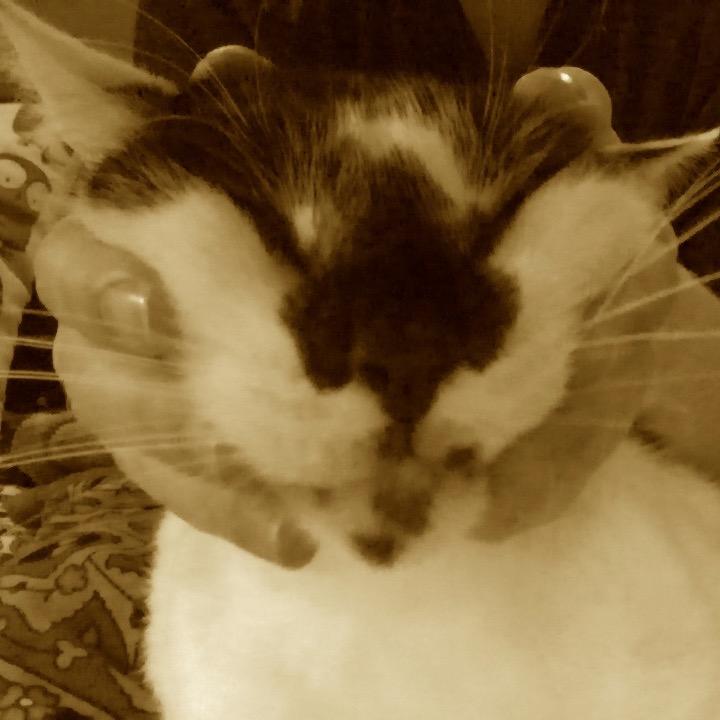 ardnaxelagrace's profile picture. ✨