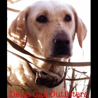 instagram: delta_oak