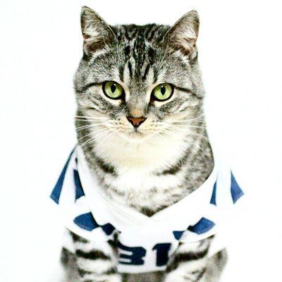 Two proud #Pet12s named after @BamBamKam & @PeteCarroll.
Inspired by the original Sea-Cats @RichardPurrman 😺🏈  #GoHawks #12thPet #12s #Seahawks