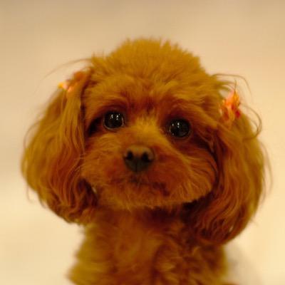 yasuさんのプロフィール画像