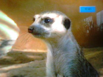 GUENTHERSCHNEI2's profile picture. 