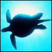 Turtle_Island (@turtle_island) Twitter profile photo