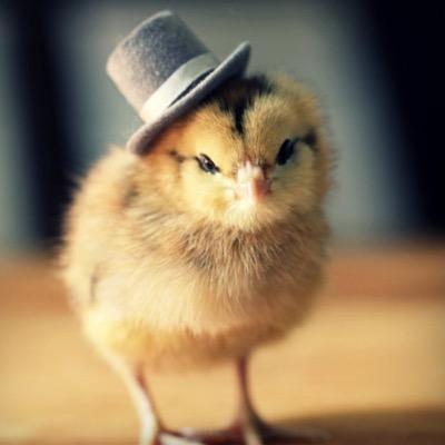 チキンハウスさんのプロフィール画像