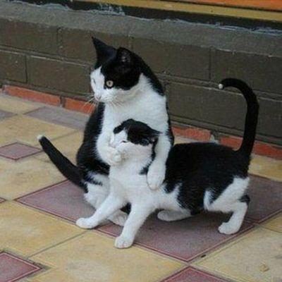 TimeZero239's profile picture. 