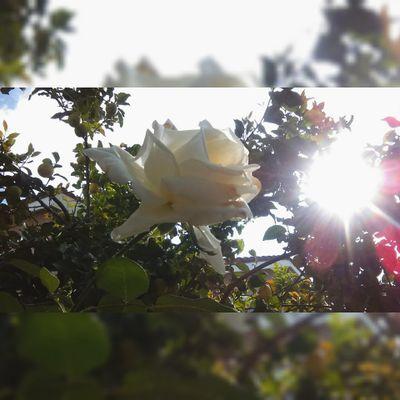 itskevinbtw's profile picture. 