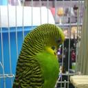 shshsh85 (@0924390980) Twitter