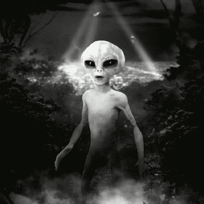 Email; GalaxyOD@hotmail.com. always trippy. Tell your friends.