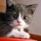 JanWpplugin's profile picture. 