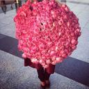 HEBA.H (@00996Hebah) Twitter