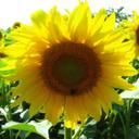 isha rani - @isharani1 - Twitter